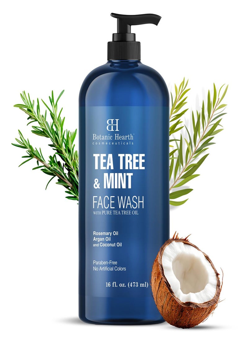 Botanic Hearth Tea Tree Shampoo, Vitamin C, Peppermint, Lavender and Rosemary Oil, Fights Dandruff and Dry Scalp, 16 fl oz - Image 1